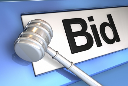 auction-site.JPG