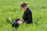 green-office.jpg
