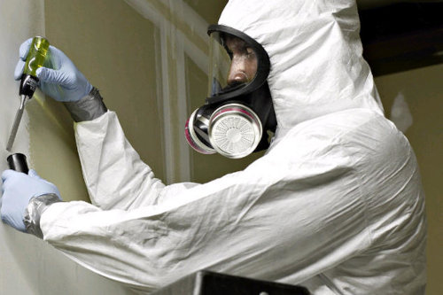 Asbestos testing and removal