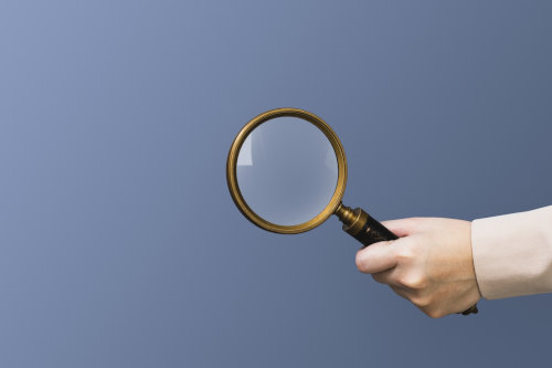 Private investigator