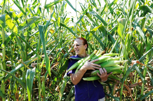 Agricultural business