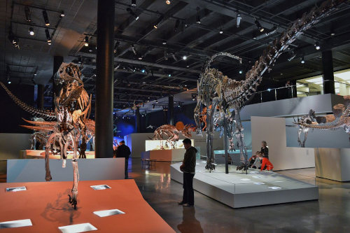 Morian Hall of Paleontology HMNS
