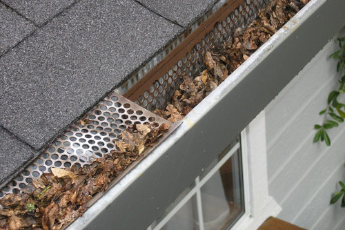 Gutter guard
