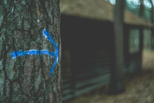 Hiking trail