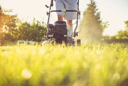 Lawn maintenance