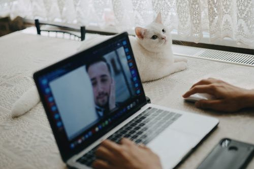 AI video creation tool